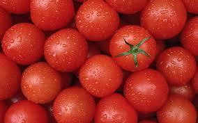 die tomaten für die leistung
